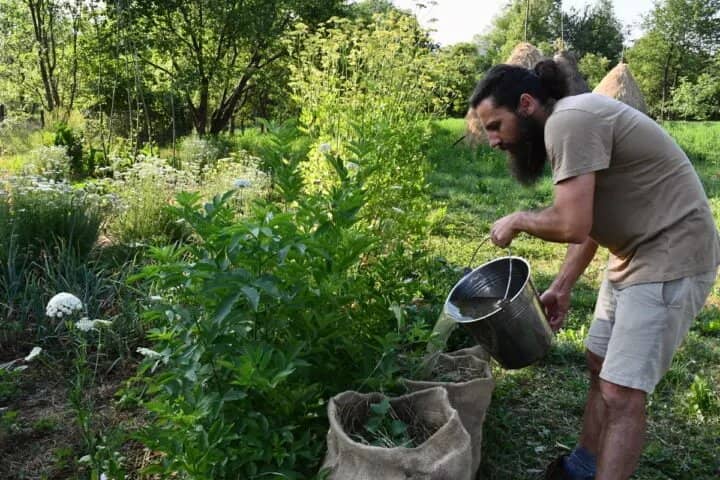 cultivar papas en bolsas