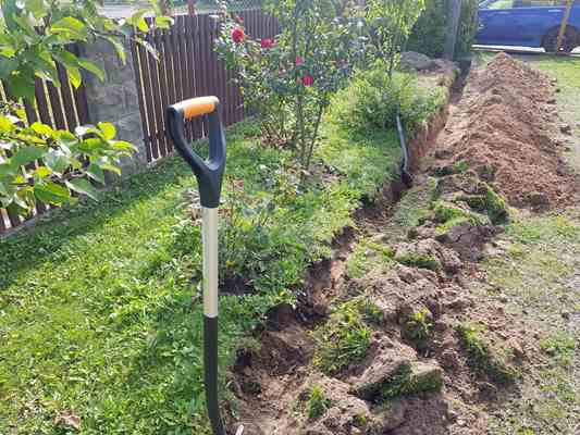 cuidar las plantas en condiciones de calor extremo