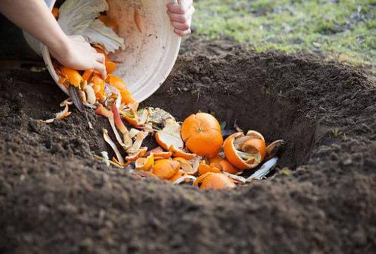 cascaras de fruta como abono