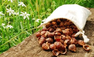 nueces de lavado