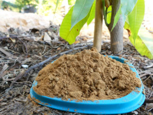 5 Usos de la Canela en las Plantas