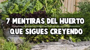 7 mentiras del Huerto