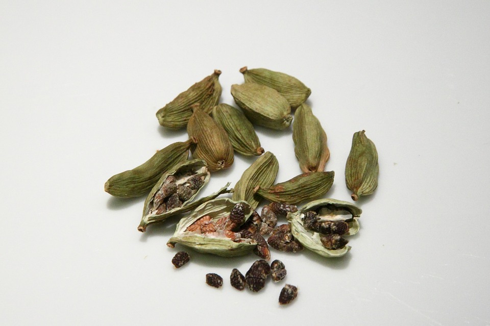 CARDAMOMO