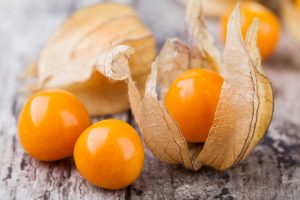 El cultivo de Physalis